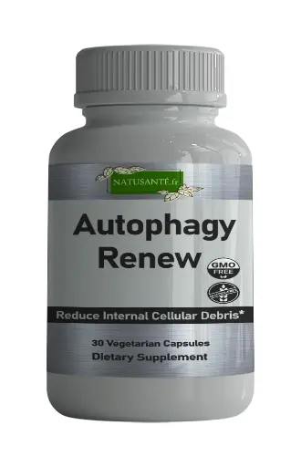 Autophagy Renew